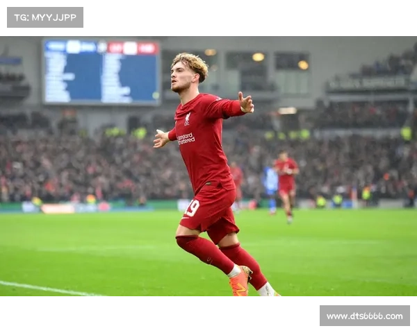 德天空称帕梅卡诺或自由离队利物浦等豪门有意签下其为防线核心